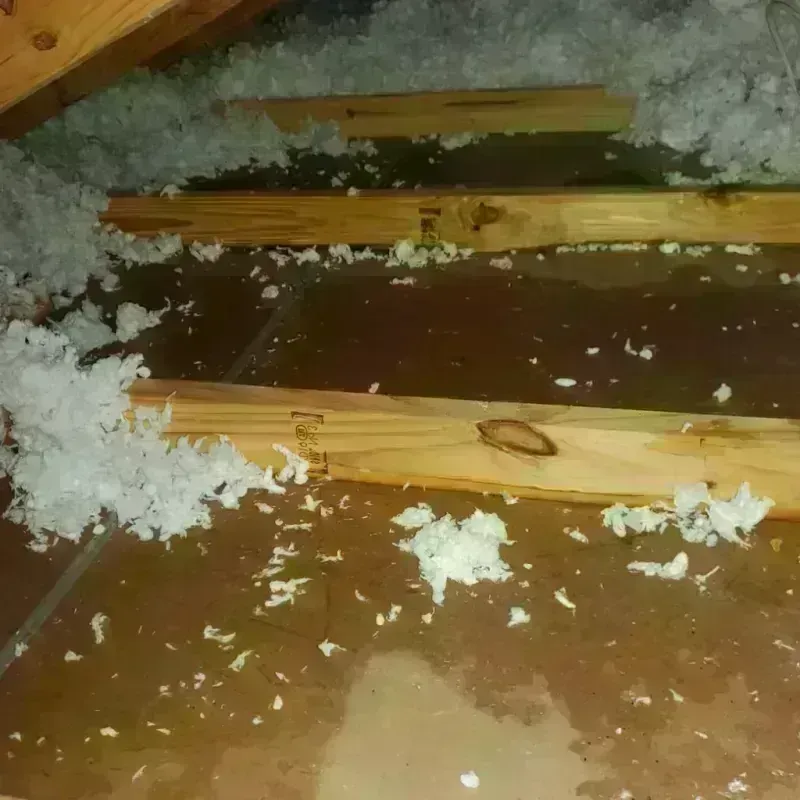 Attic Water Damage in Richland Parish, LA